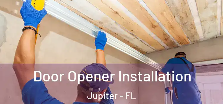 Door Opener Installation Jupiter - FL