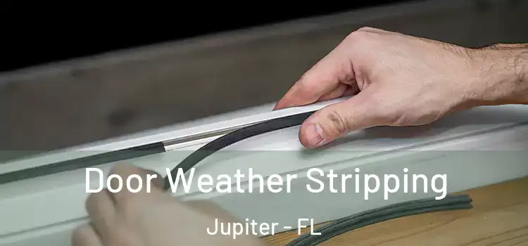 Door Weather Stripping Jupiter - FL