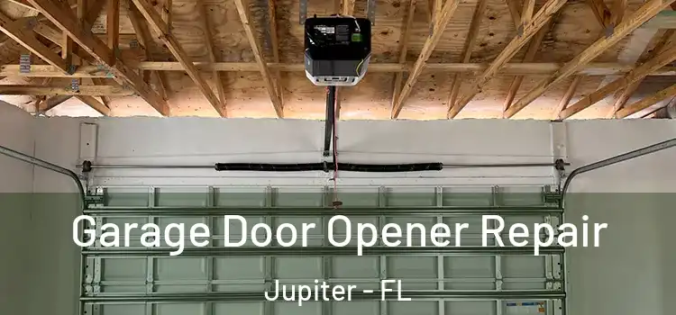  Garage Door Opener Repair Jupiter - FL