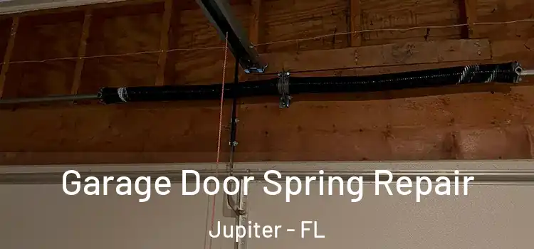  Garage Door Spring Repair Jupiter - FL