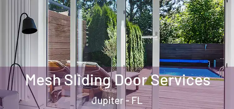 Mesh Sliding Door Services Jupiter - FL